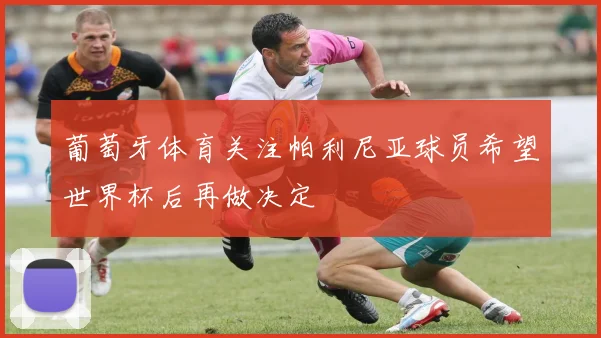 葡萄牙体育关注帕利尼亚球员希望世界杯后再做决定